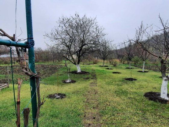 Дача у м.Кривий Ріг "Восход" 1 км від вул.Чарівна Кривой Рог