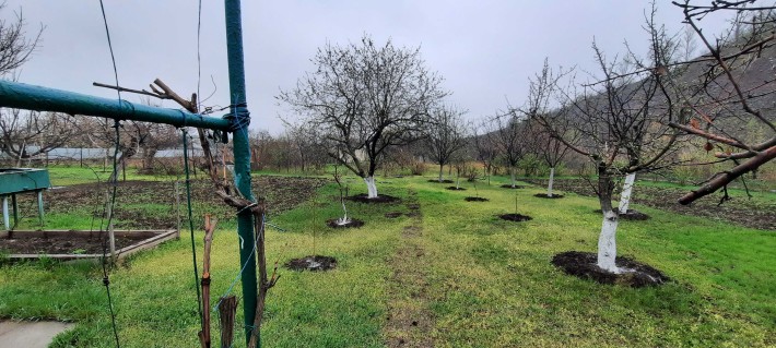 Дача у м.Кривий Ріг "Восход" 1 км від вул.Чарівна - фото 1