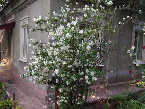 Продається котедж Кривой Рог