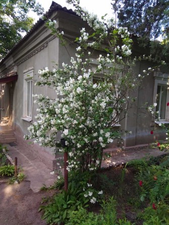 Продається котедж - фото 1