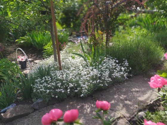 Продам дачу на м Зарічний Кривой Рог