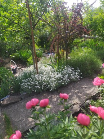 Продам дачу на м Зарічний - фото 1