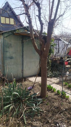 Продаю дачу у Тернівському районі - фото 1