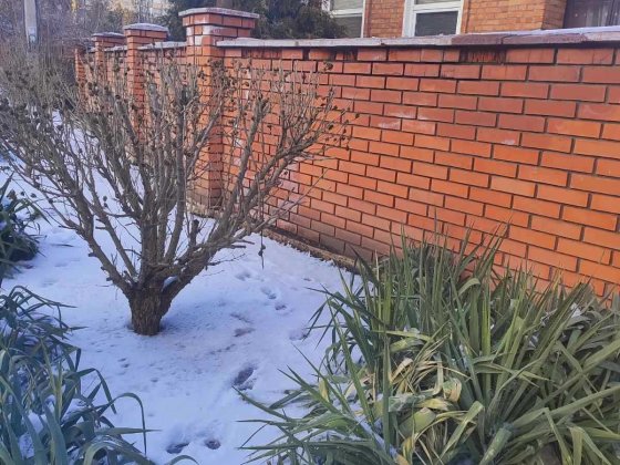 Просторе домоволодіння по вул. Ракетна, біля парку