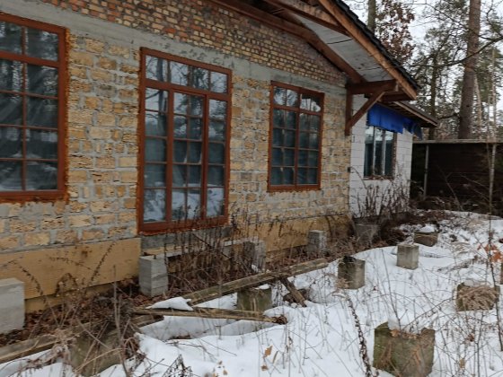Приватний будинок вул.Шевченка, 30 соток