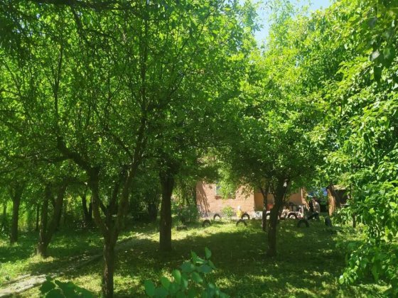 Дача! Терешки "Золоті піски!" Полтава