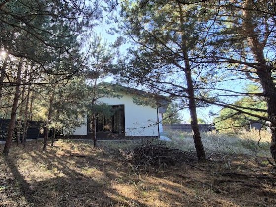 Будинок в лісі в 20 хвилинах від Київа Ірпінь