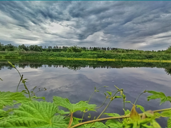 Ділянка 10 соток біля озера в Старих Безрадичах! Ідеально під забудову Старі Безрадичі