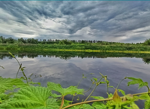 Ділянка 10 соток біля озера в Старих Безрадичах! Ідеально під забудову - фото 1