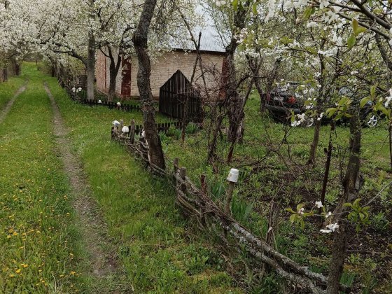 Продається дача 18 соток Полтава