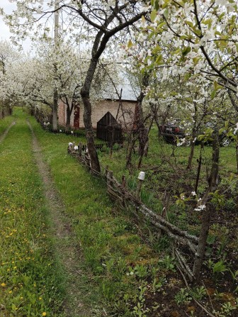 Продається дача 18 соток - фото 1