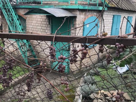 Дача ст Родник в напрямку с.Новоіванівка Кривой Рог