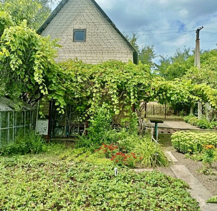 Дача біля озера Рибхоз - фото 1