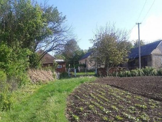 Господарство 3 км від Рівного: 2 будинки, сад, 1,25 га + пай 3 га Рівне