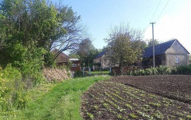 Господарство 3 км від Рівного: 2 будинки, сад, 1,25 га + пай 3 га - фото 1