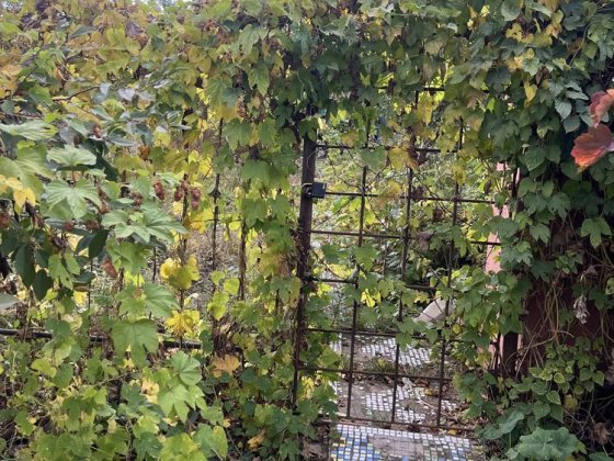 Дача в м Суми кооператив Хімік з будкою Суми