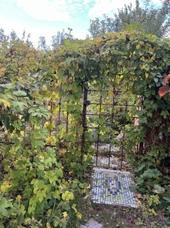 Дача в м Суми кооператив Хімік з будкою - фото 1