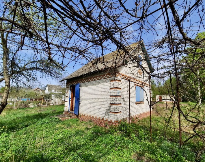 Дача на Олдиші поряд з річкою - фото 1