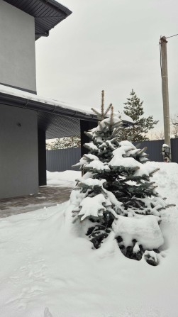 Будинок 120 м² на 6 сотках | газ підключено | тепла підлога | 17 кВт - фото 1