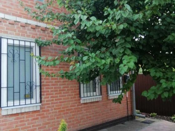 Розкішна дача на Вороніна! Полтава