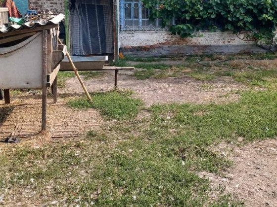 Продаж окремого цегляного будинку під ремонт в передмісті Полтава