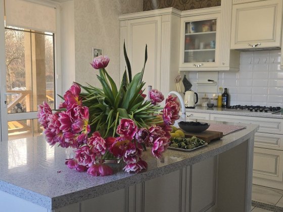 Будинок з неймовірною панорамою на Роші Чернівці