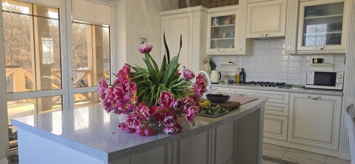 Будинок з неймовірною панорамою на Роші - фото 1