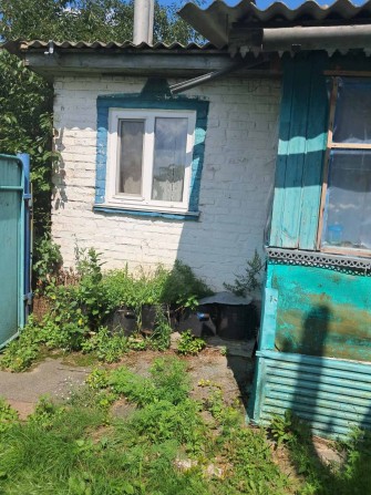 Будинок в селі Ковпита - фото 1