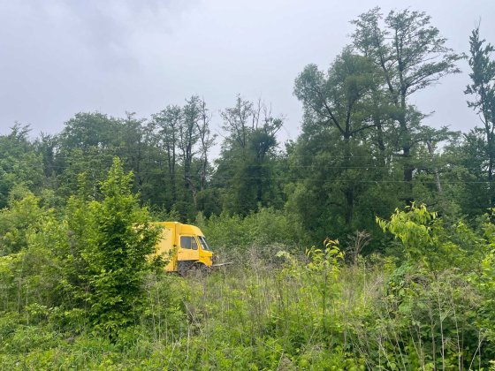 продам дачу в лісі з світлом