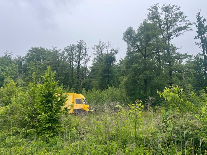 продам дачу в лісі з світлом - фото 1