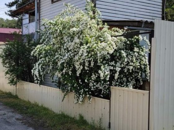 Продається будинок на причалі з прямим виходом на воду Черкассы