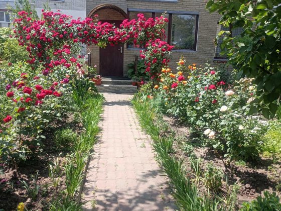 Пропонується до продажу трикімнатна квартира в Слободі Черкаси