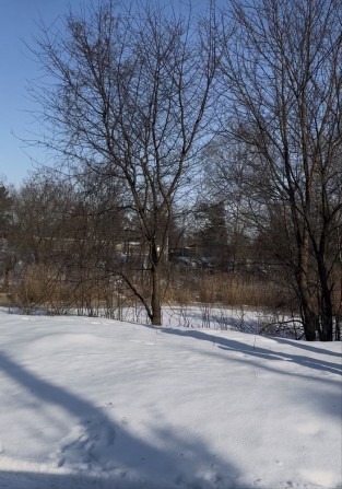 Будинок в елітному районі Дахнівки - фото 1