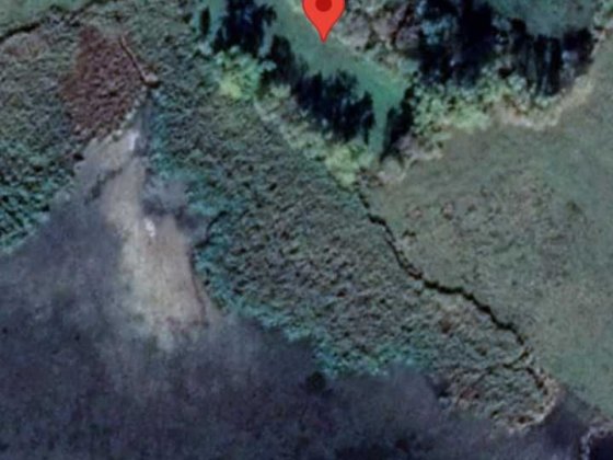 Дом на берегу озера. Лосиновка. Чернигов