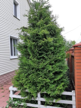 Будинок 164м2. Олександрівка - фото 1