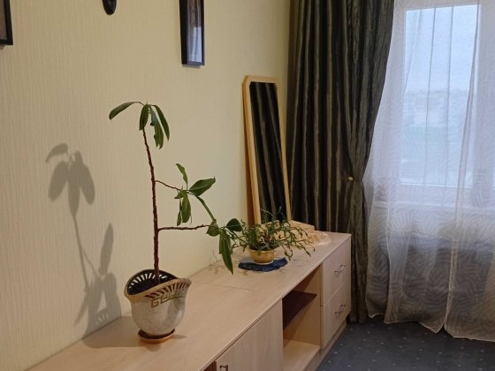 Здам кімнату м.Вишневе Вишневое