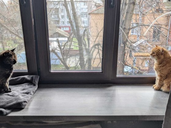 Кременчук від ВЛАСНИКА в оренду кімната центр-пріорітет тварини/діти Кременчуг