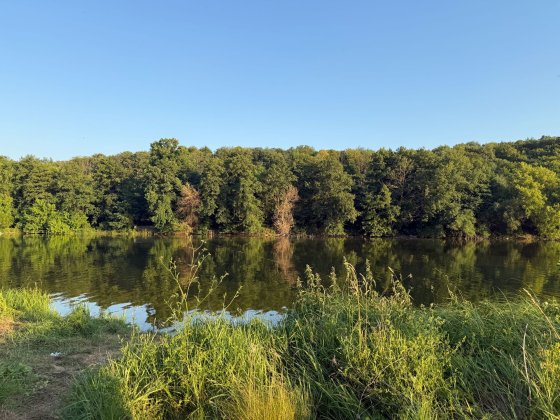 продам дачу у Вінниці