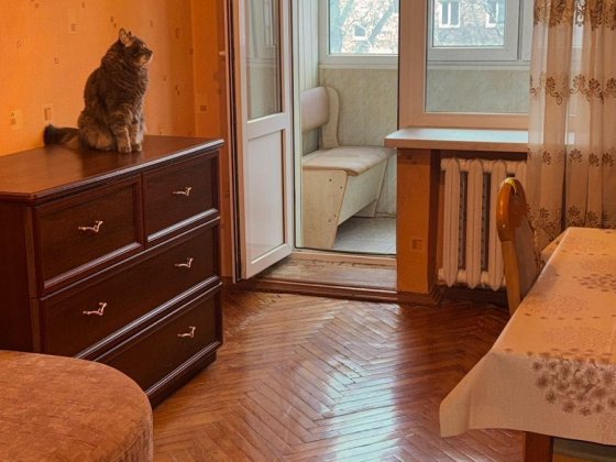 Здається кімната в Голосіївському районі без хазяїв Киев