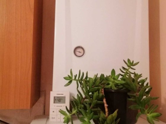 Кімната на Польовій Житомир