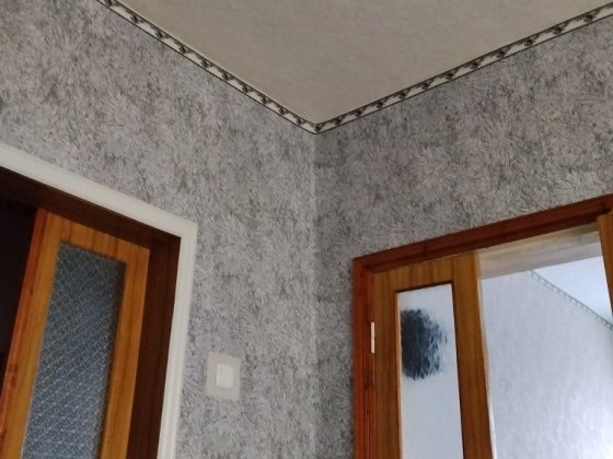 Здається флігель 2-кімнати Кропивницкий