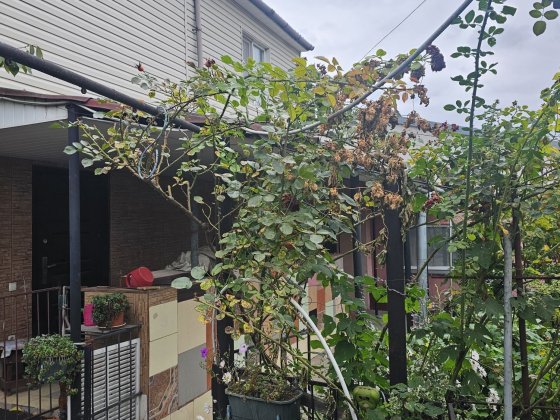 Продаж будинку в комунарському районі Запоріжжя