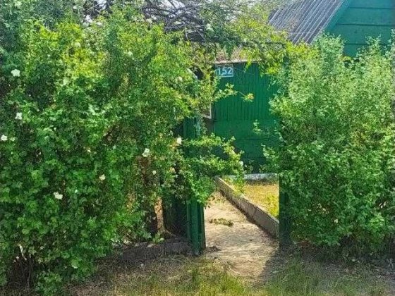 Продается дачный участок в Запорожье, Верхняя Хортица, ул. Розенталь Запоріжжя