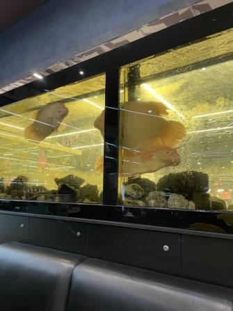 Семейная пара переселенцы из волчанска. - фото 1