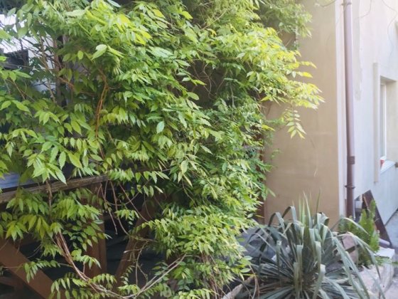 Кімната (в домі) від власника плюс комунальні Киев