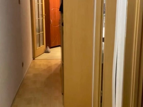 Спільне проживання Киев