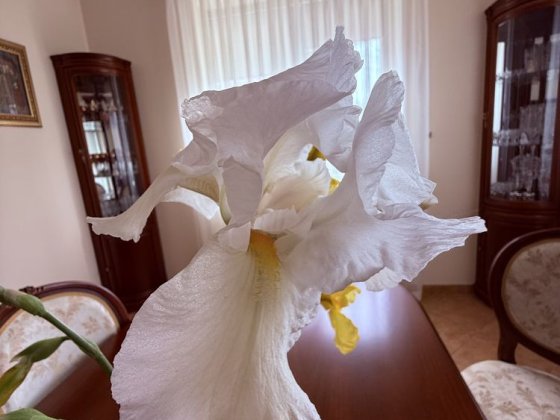 Будинок в якому можна і жити, і працювати, і відпочивати Ужгород