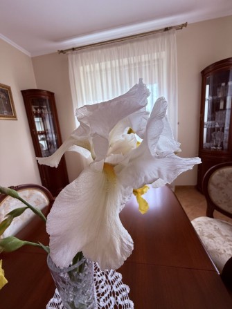 Будинок в якому можна і жити, і працювати, і відпочивати - фото 1