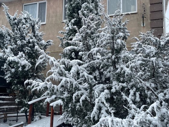 Продам Будинок 246 м2 Запоріжжя