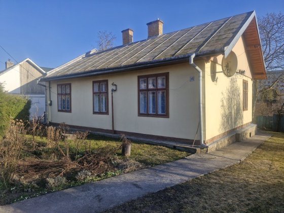 Продаж будинку 72 м² з великою ділянкою — Кам’янка-Бузька